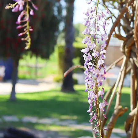 아파트 Quinta Da Vala - Veranda 2